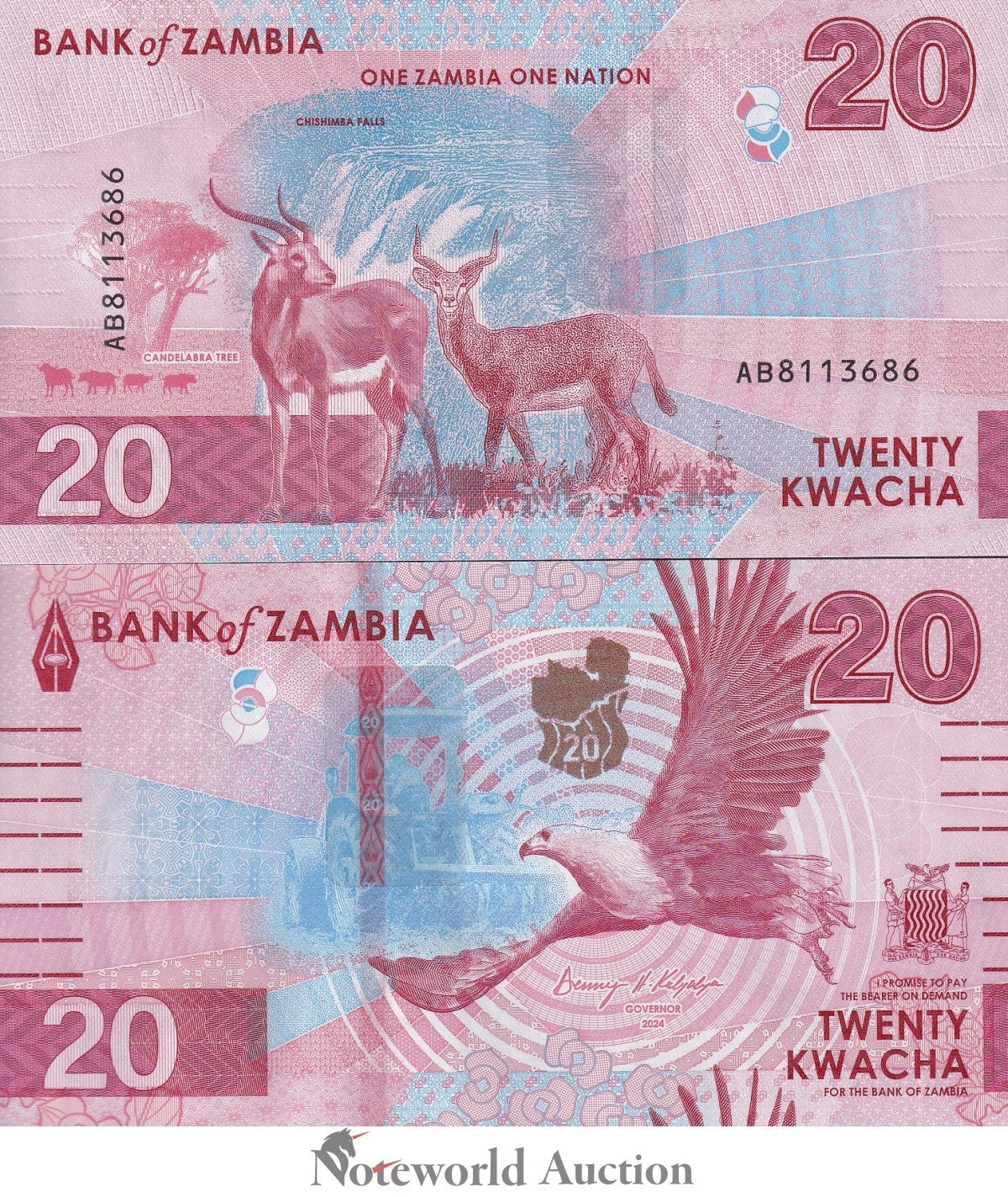 ZAMBIA 20 Kwacha 2024 2025 P New Issue LOT 20 pcs 1/5 Bundle UNC