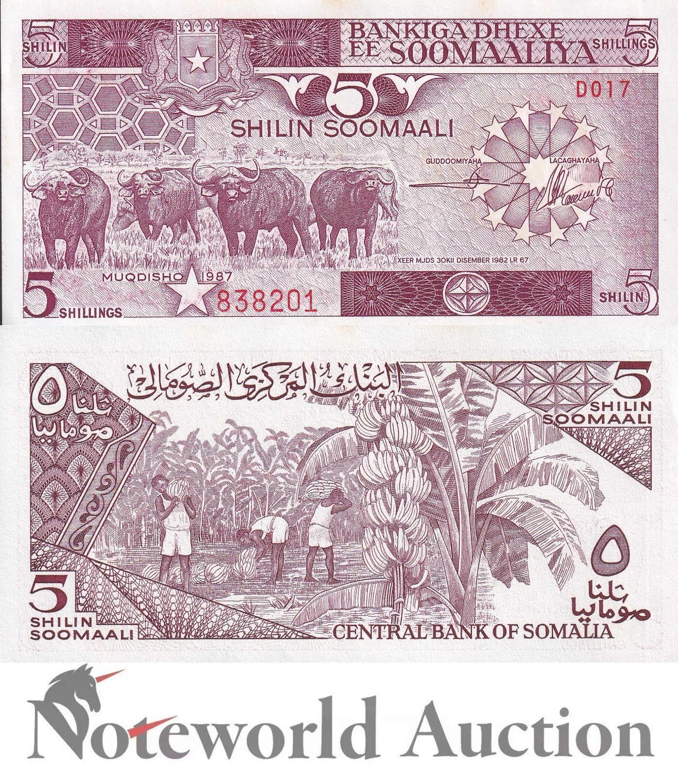 SOMALIA 5 Shilin Soomaali 1987 P 31c MINOR FOXING Lot 5 pcs 1/20 Bundle UNC