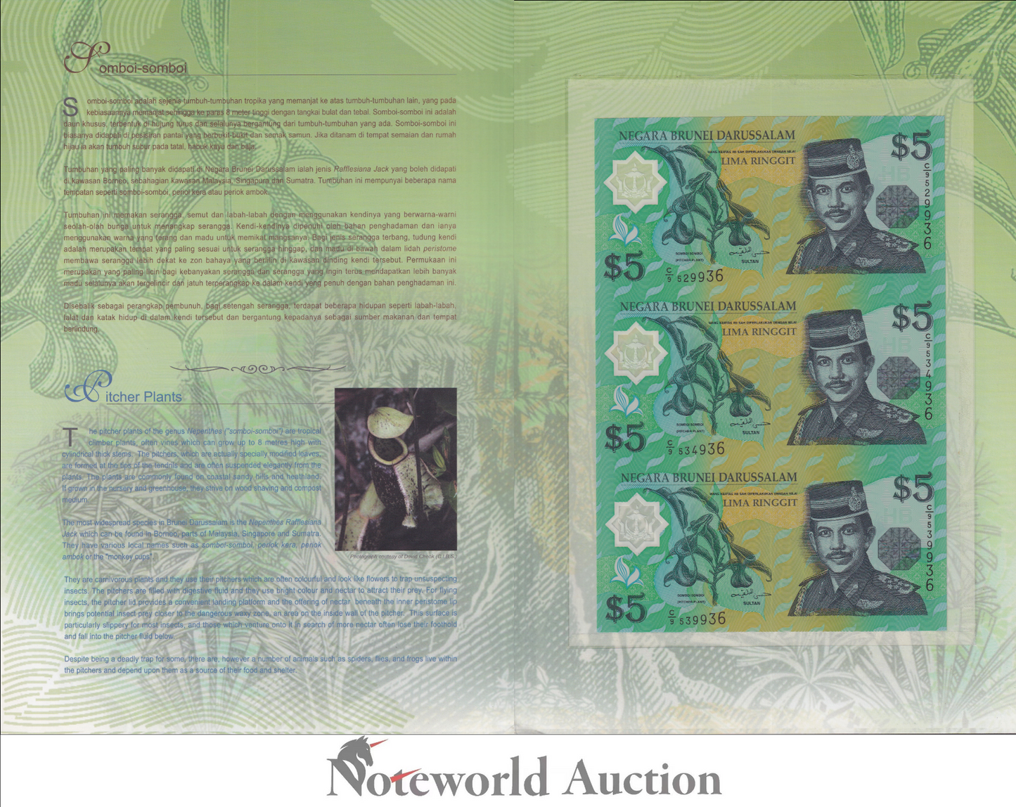 BRUNEI 5 Riinggit 2002 P 23b Polymer With Folder UNCUT 3 IN 1 UNC