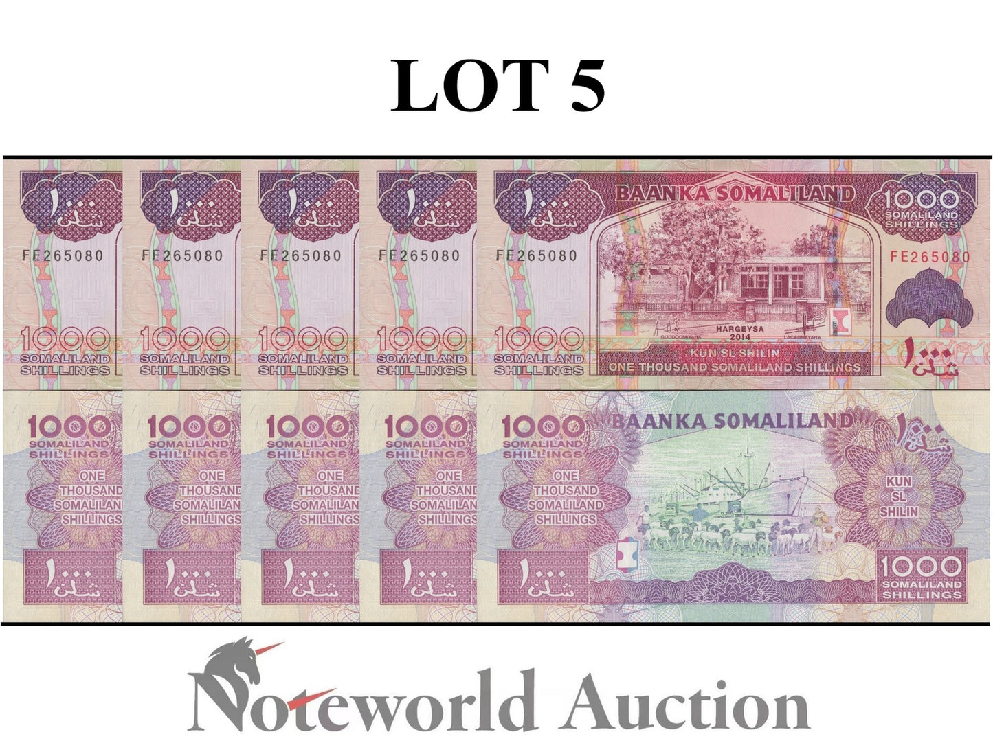 SOMALILAND 1000 Somaliland Shillings 2014 P 20c Lot 5 pcs 1/20 Bundle UNC