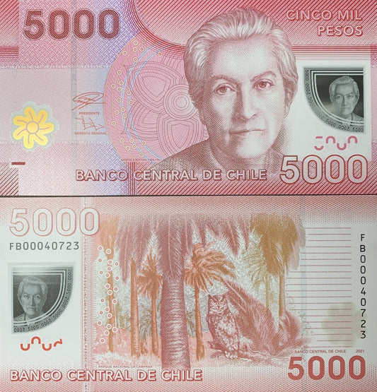 CHILE 5000 Pesos 2021 P 163 Polymer New Series UNC