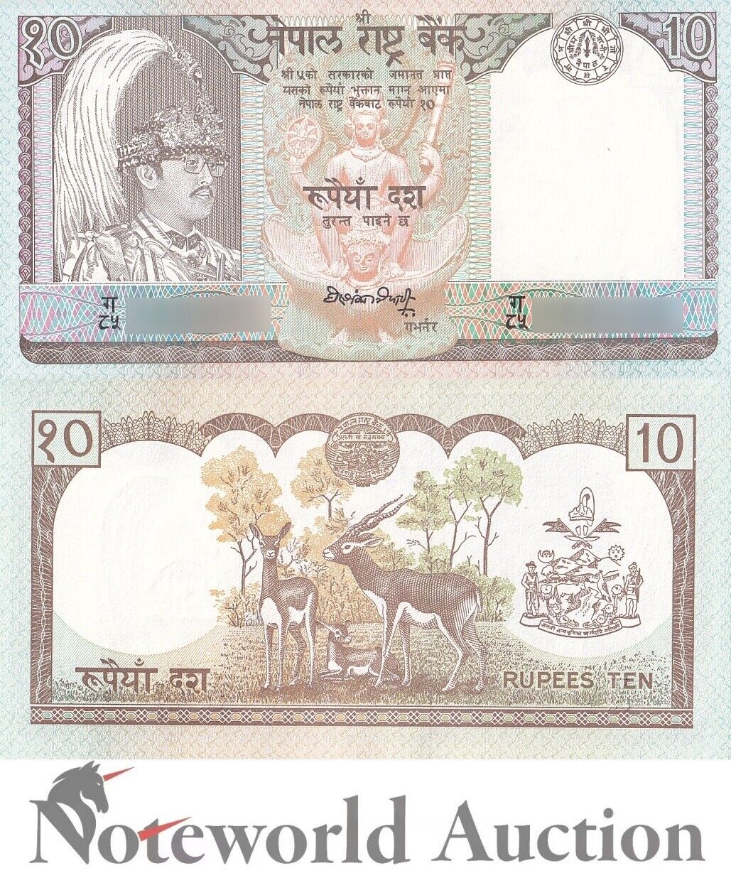 NEPAL Lot 20 pcs 1/5 Bundle - 10 Rupees 1990-1995 P 31a2 FOXING UNC