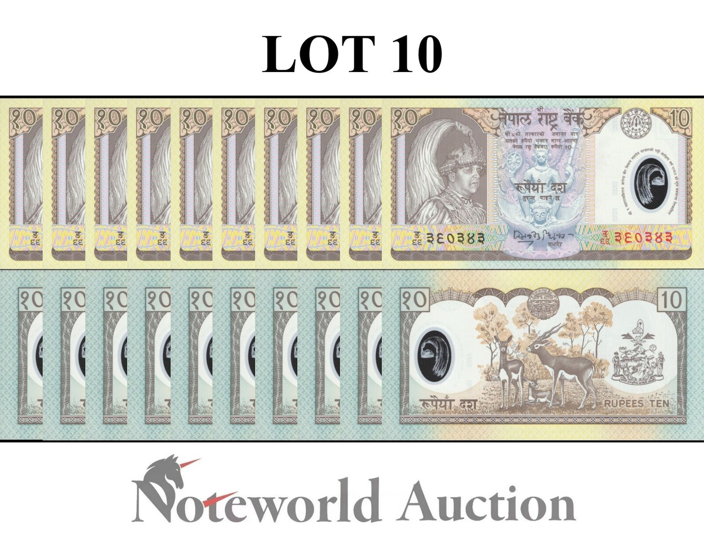 NEPAL Commemorative Lot 10 pcs 1/10 Bundle - 10 Rupees 2002 P 45 Polymer UNC