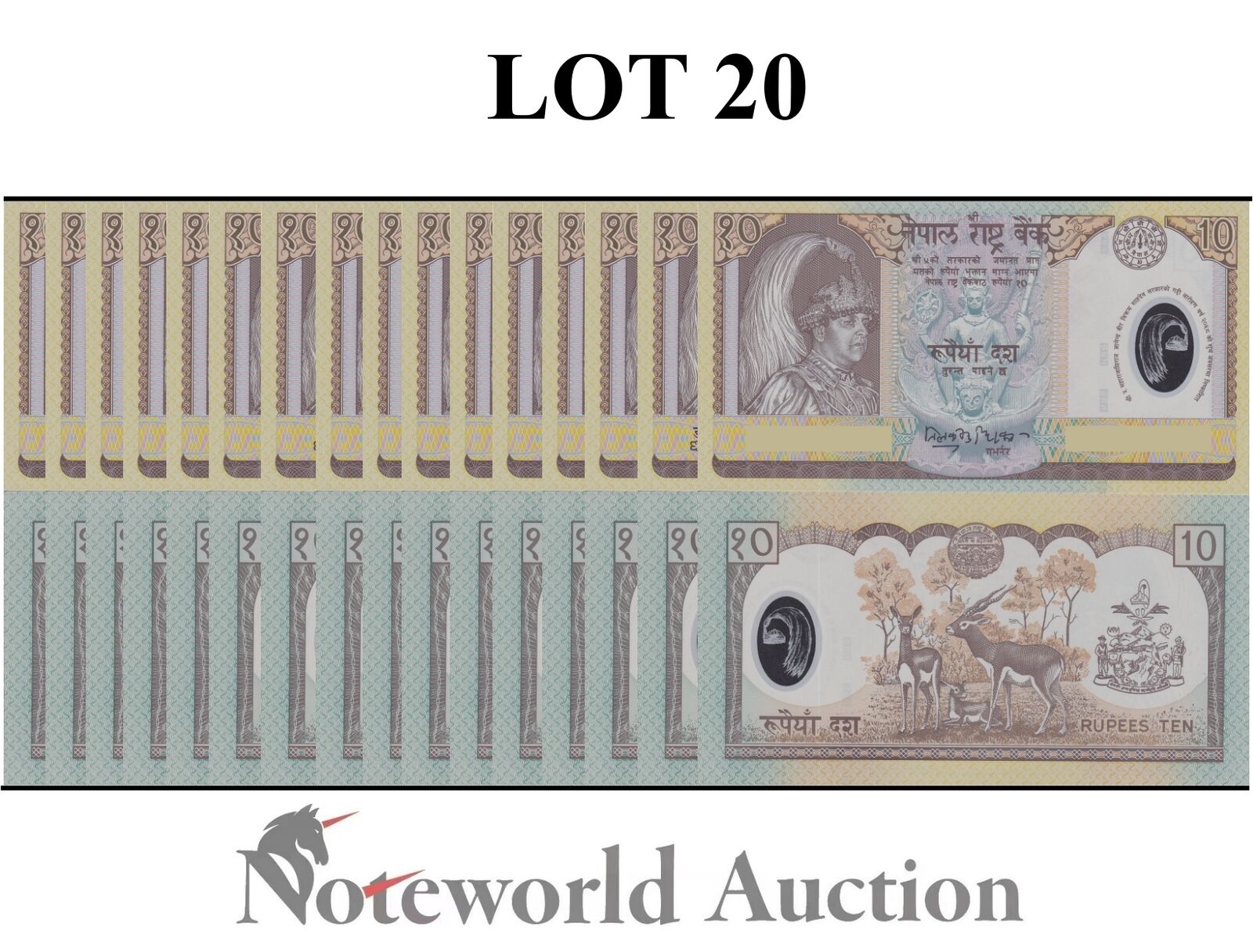 NEPAL Commemorative Lot 20 pcs 1/5 Bundle - 10 Rupees ND 2002 P 45 Polymer UNC