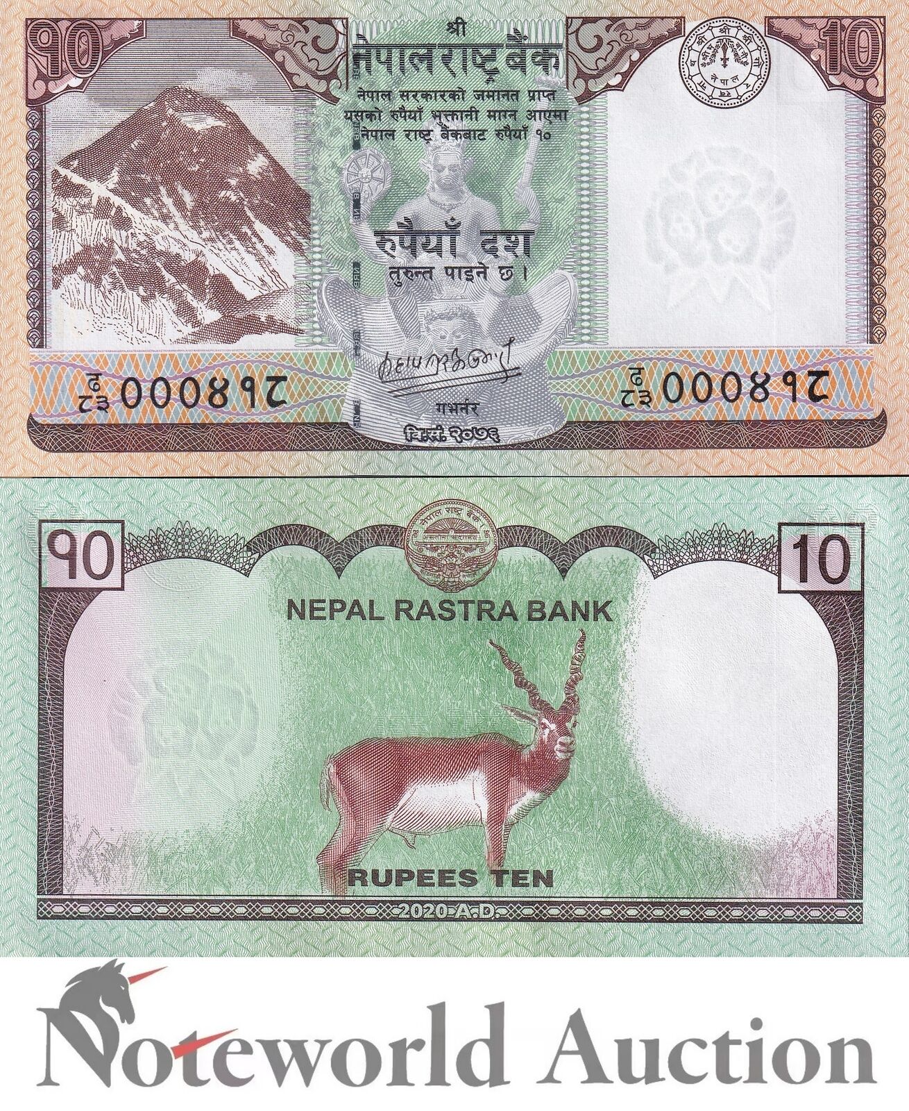 NEPAL Lot 10 pcs 1/10 Bundle -  10 Rupees 2020 P 77 Everest Deer UNC