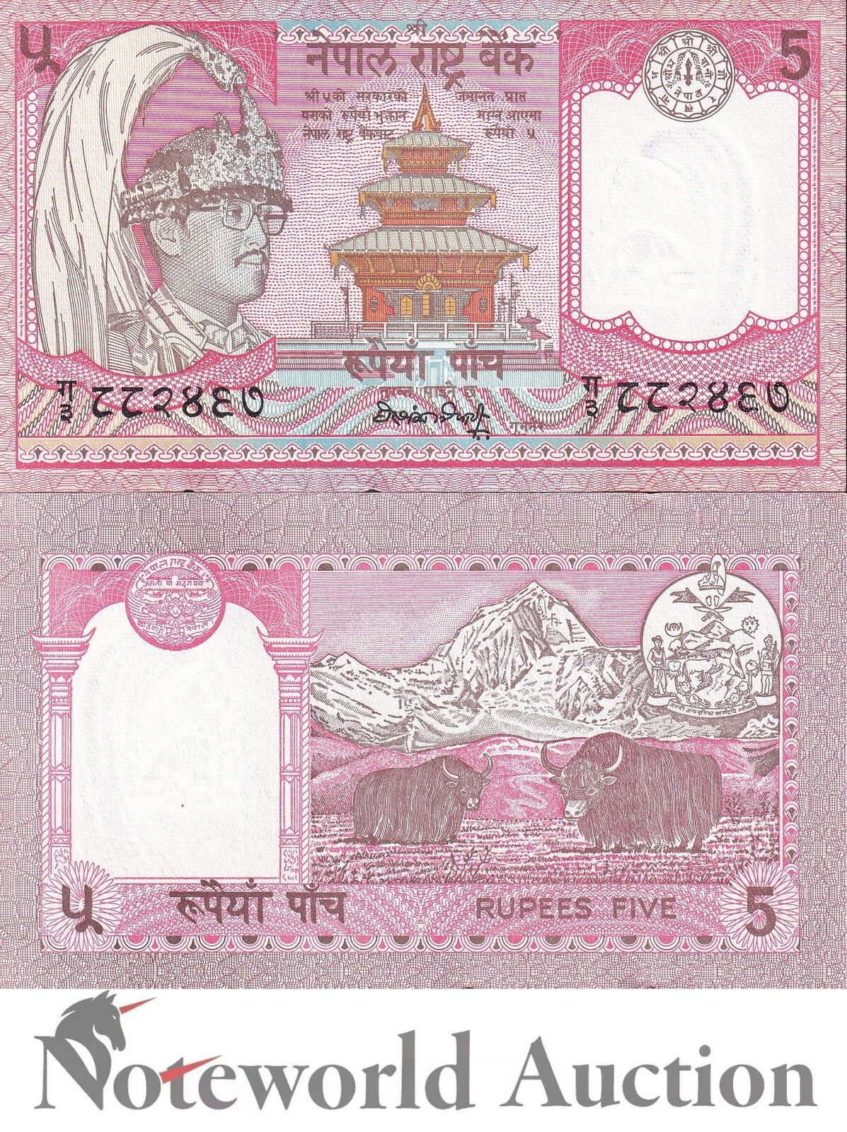 NEPAL Lot 5 pcs 1/20 Bundle - 5 Rupees 1990-1995 P 30a(2) UNC