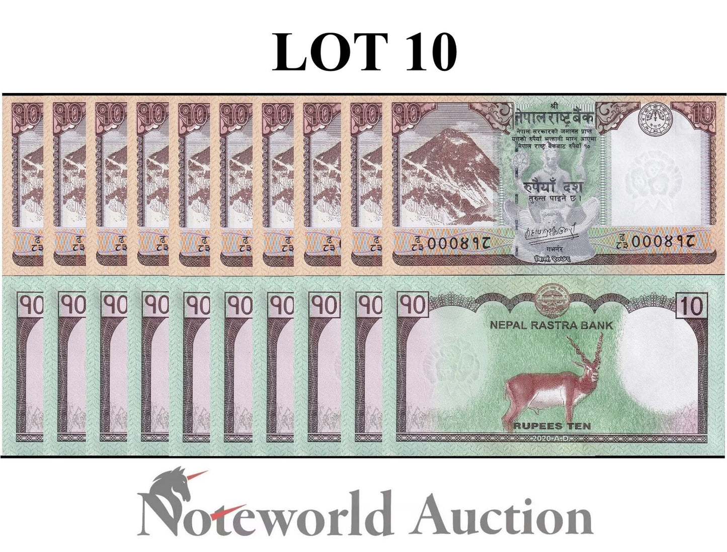 NEPAL Lot 10 pcs 1/10 Bundle -  10 Rupees 2020 P 77 Everest Deer UNC