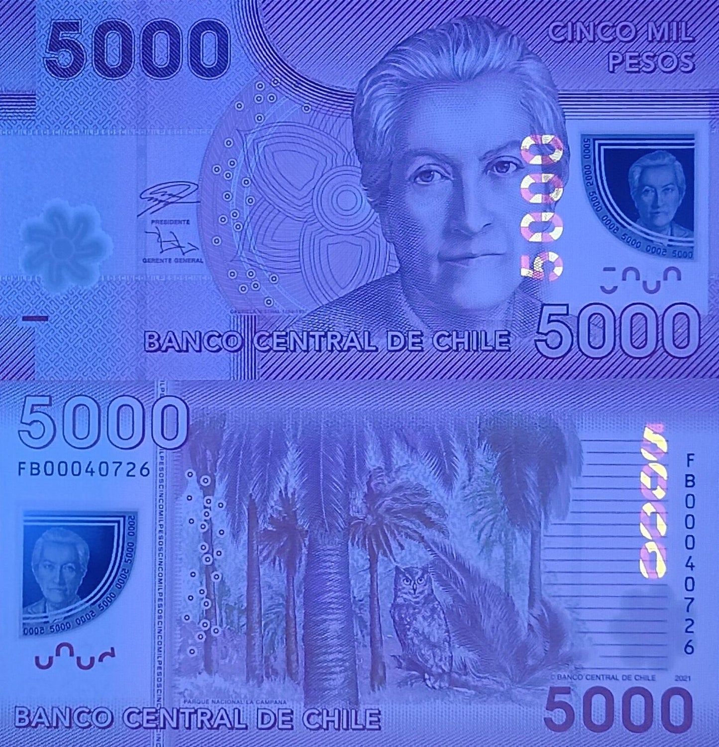 CHILE 5000 Pesos 2021 P 163 Polymer New Series UNC