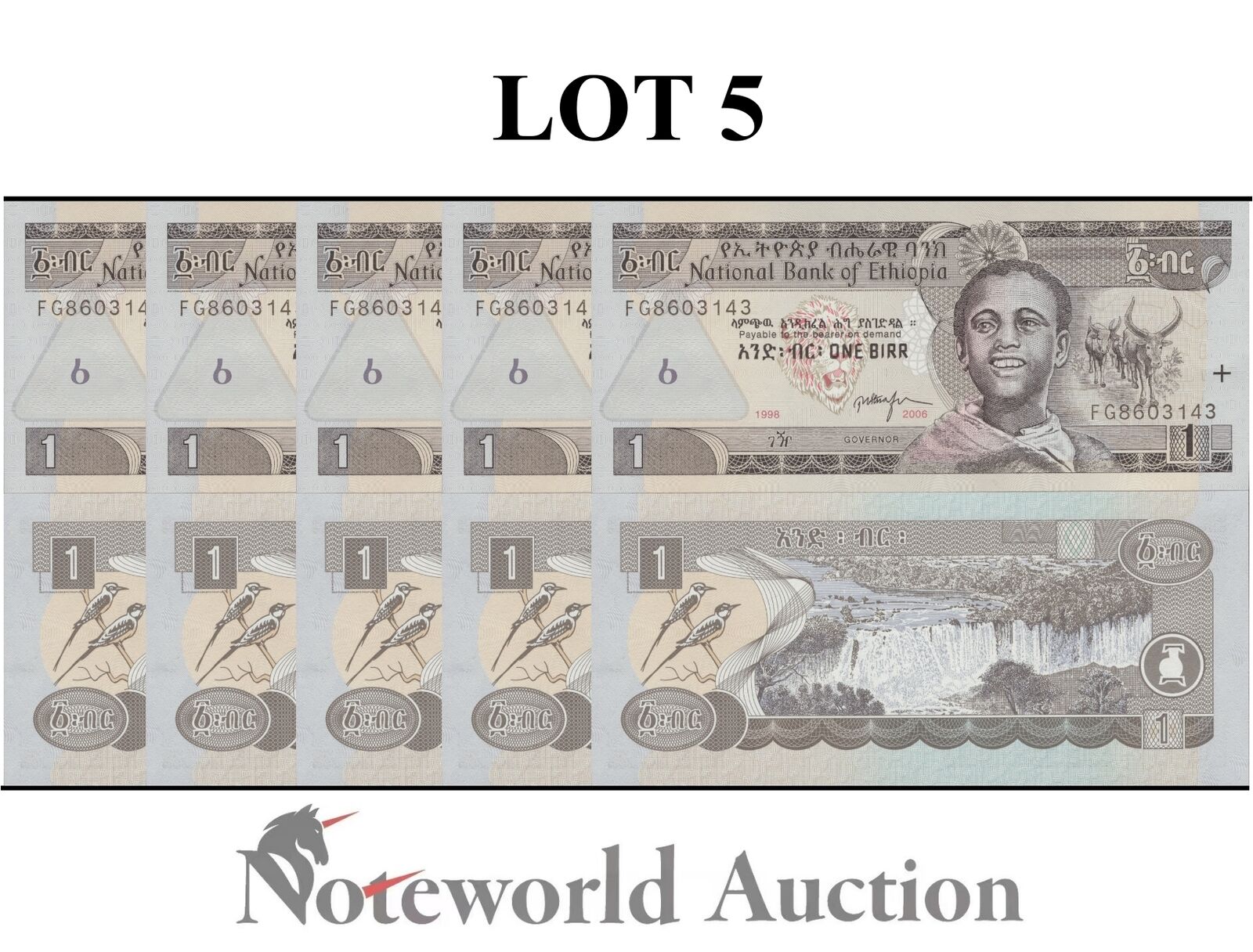 ETHIOPIA Lot 5 pcs 1/20 Bundle - 1 Birr 1998/2006 P 46d UNC