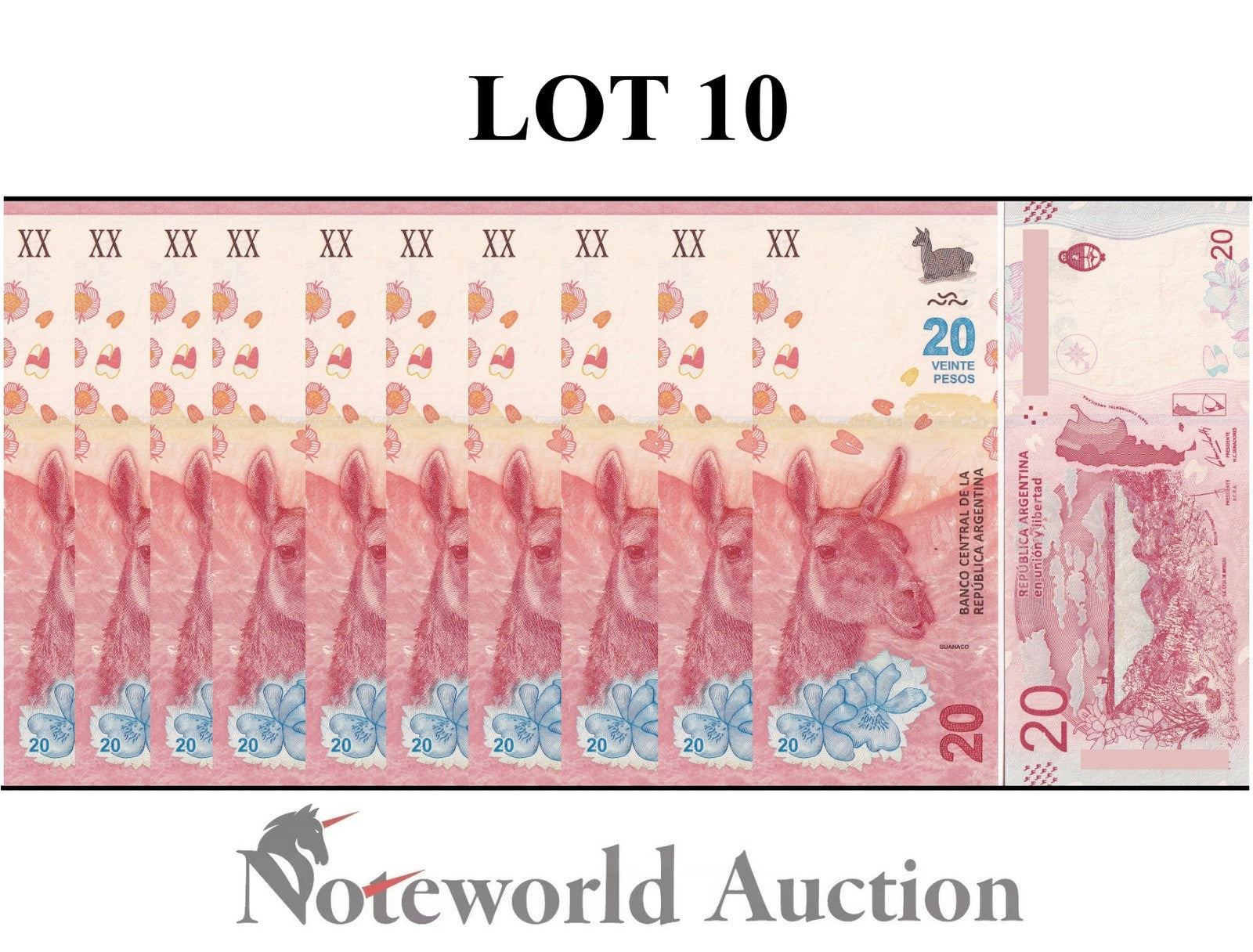 ARGENTINA 20 Pesos ND 2017 P 361 Lot 10 pcs 1/10 Bundle UNC