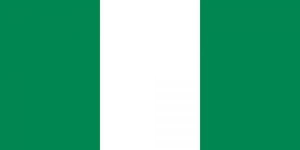 NIGERIA Lot 10 pcs 1/10 Bundle - 10 Naira 2019 P 39 Polymer UNC