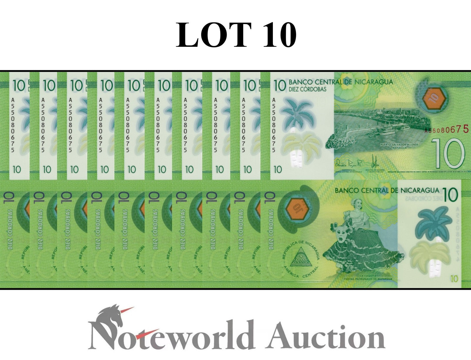 NICARAGUA 10 Cordobas 2019 P 209a Polymer Lot 10 pcs 1/10 Bundle UNC