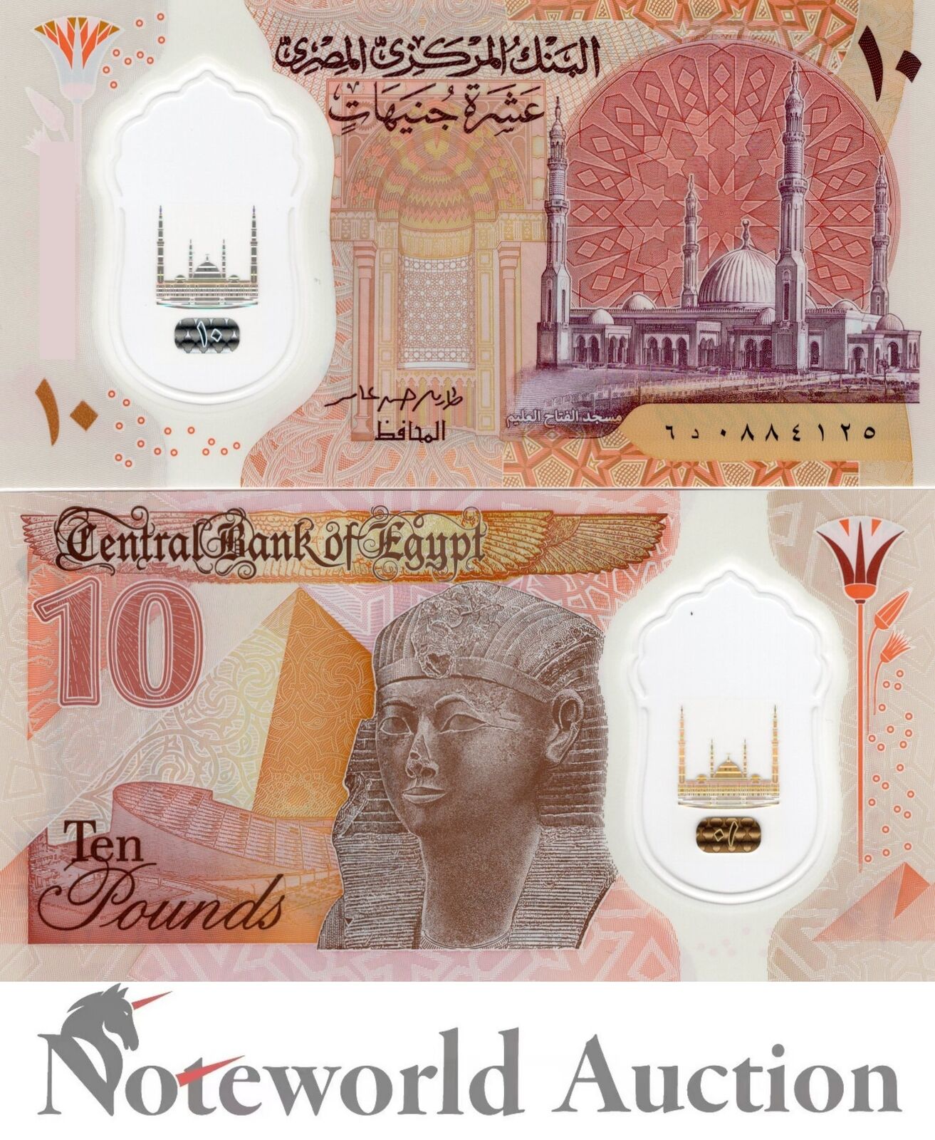 EGYPT Lot 5 pcs 1/20 Bundle - 10 Pounds 2022 P 81  Polymer UNC