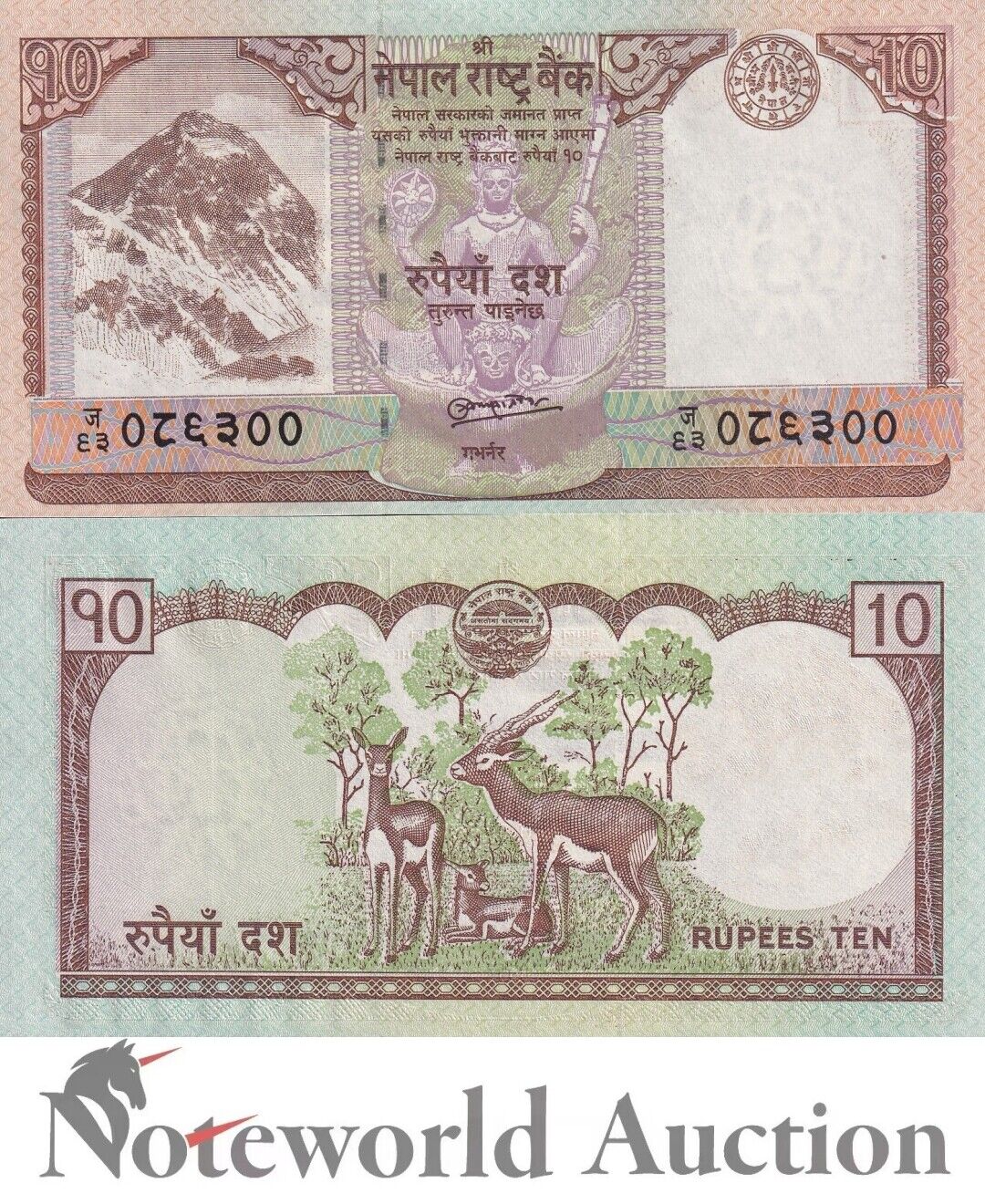 NEPAL Lot 5 pcs 1/20 Bundle - 10 Rupees 2010 P 61b UNC