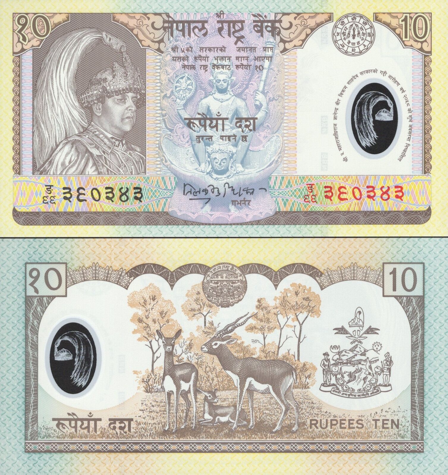 NEPAL Commemorative Lot 10 pcs 1/10 Bundle - 10 Rupees 2002 P 45 Polymer UNC