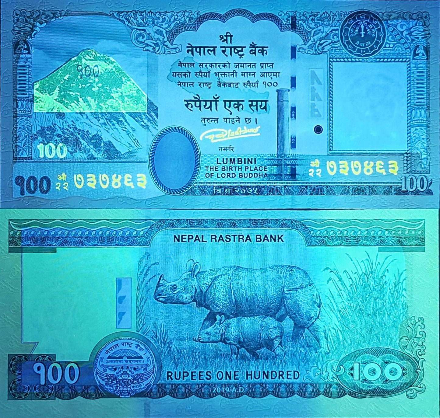 NEPAL Lot 10 pcs 1/10 Bundle - 100 Rupees 2019 P 80 Rhinoceros UNC