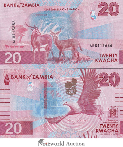 ZAMBIA 20 Kwacha 2024 2025 P New Issue LOT 20 pcs 1/5 Bundle UNC