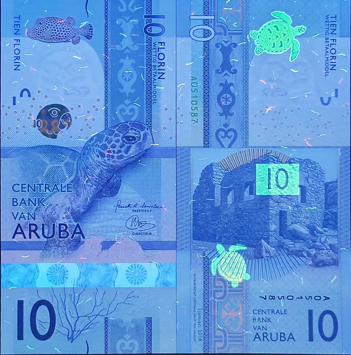 ARUBA 10 Florin 2019 P 21 UNC