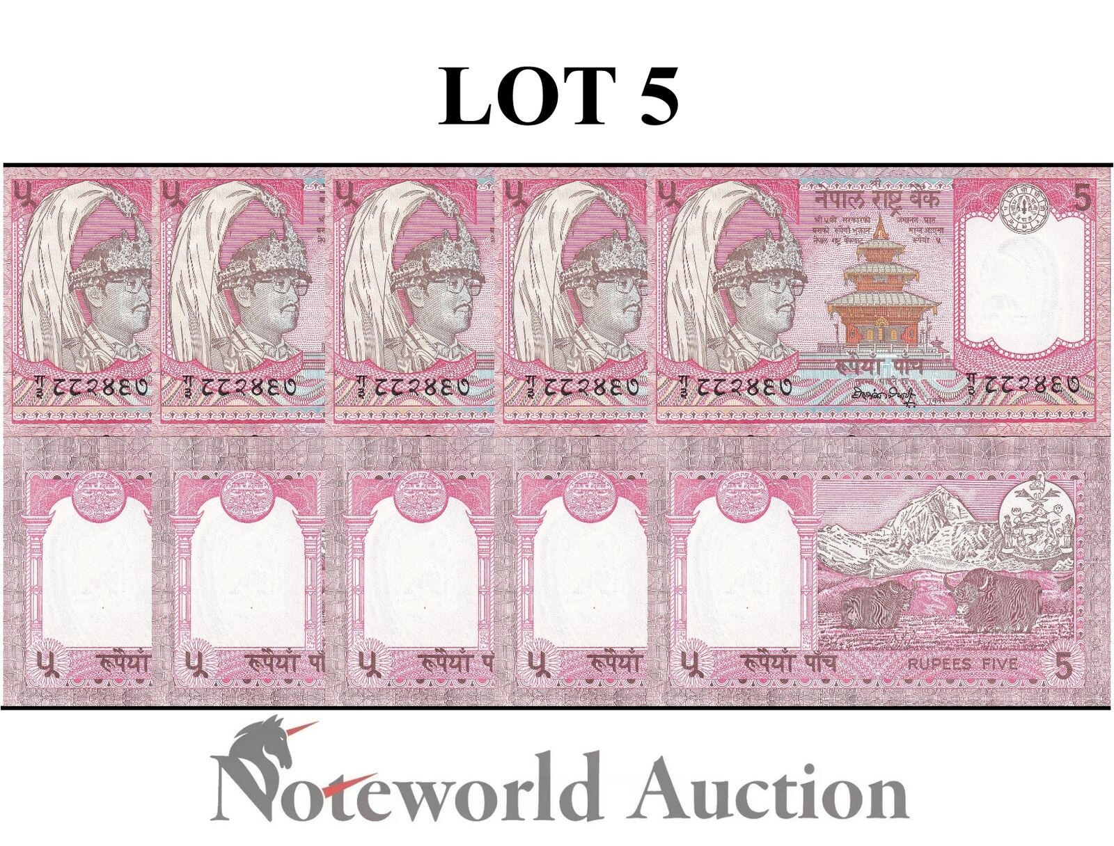 NEPAL Lot 5 pcs 1/20 Bundle - 5 Rupees 1990-1995 P 30a(2) UNC