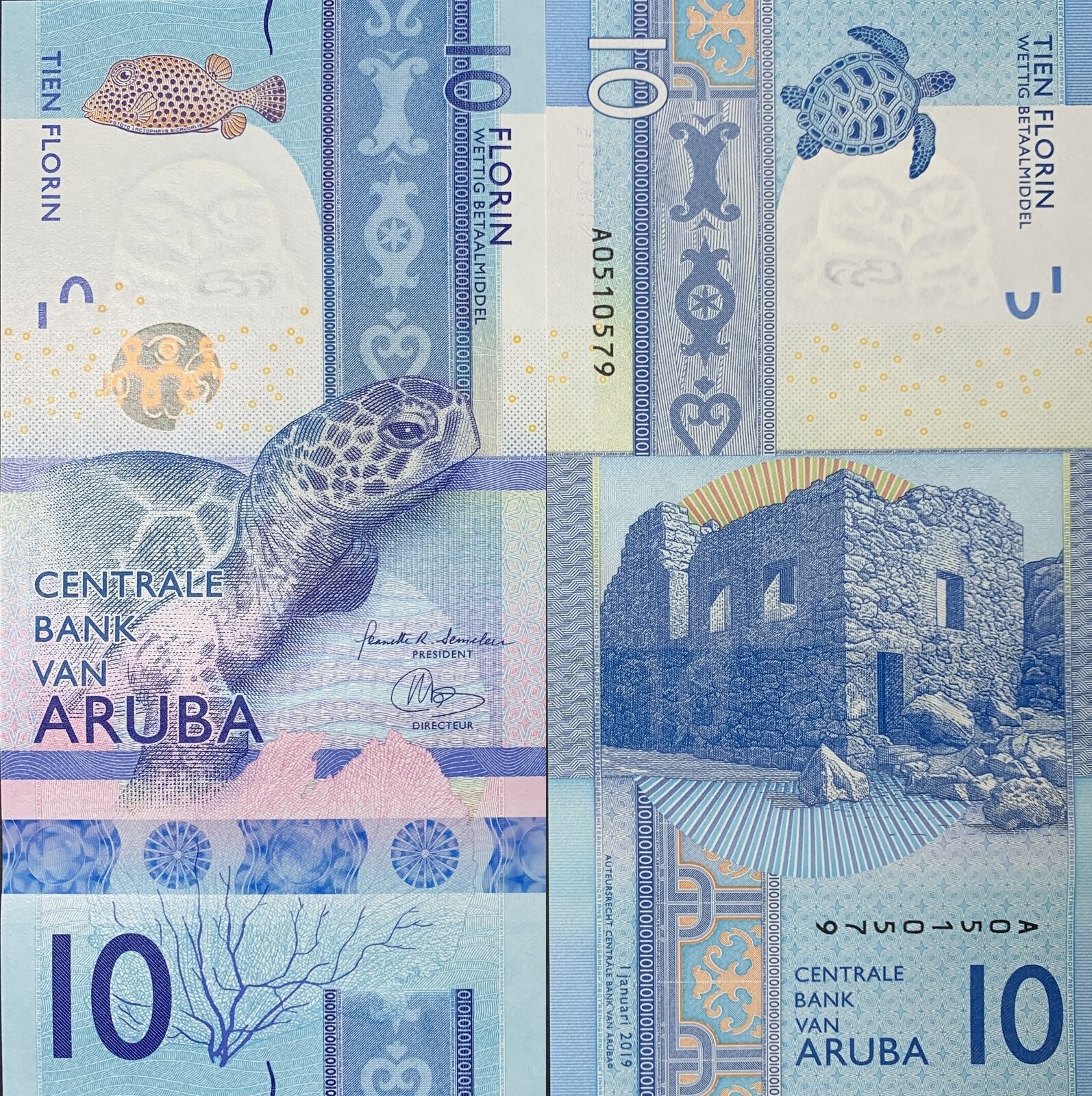 ARUBA 10 Florin 2019 P 21 UNC