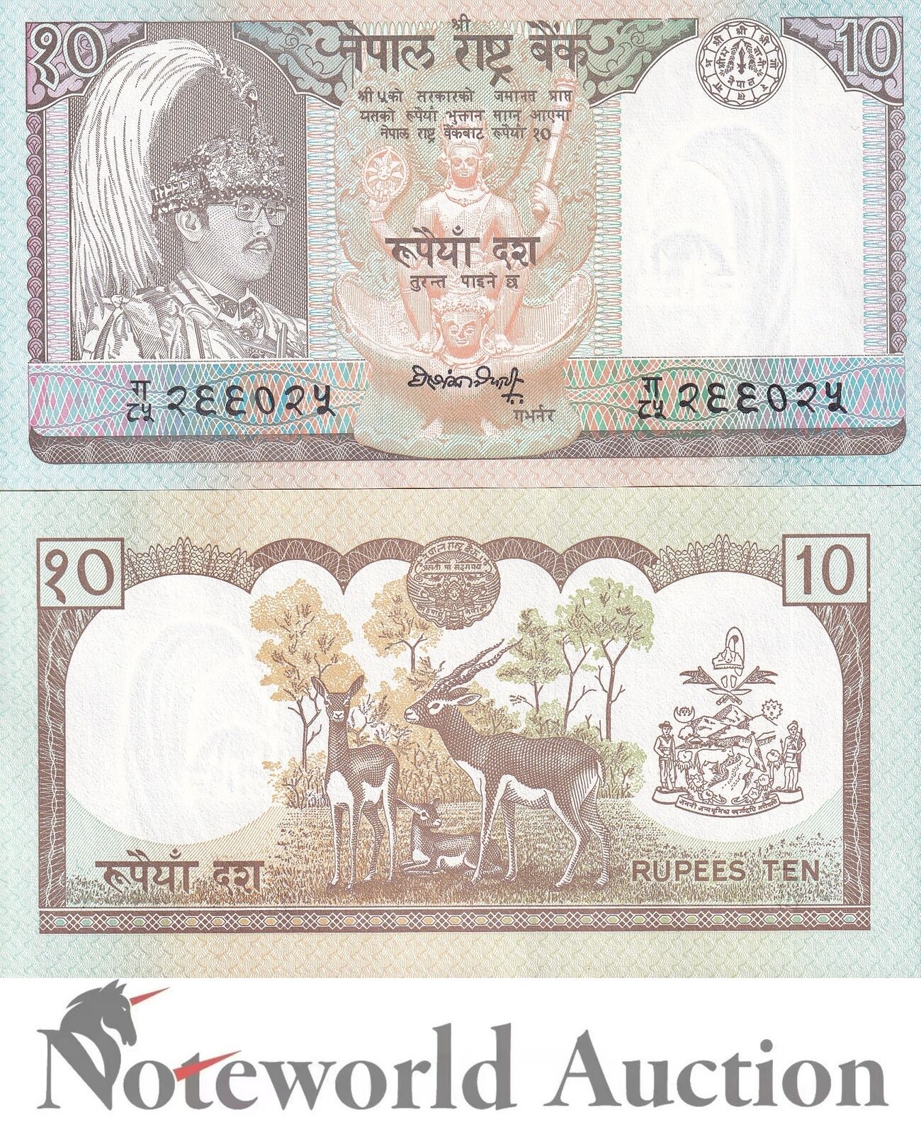 NEPAL Lot 5 pcs 1/20 Bundle - 10 Rupees 1990-1995 P 31a2 FOXING UNC